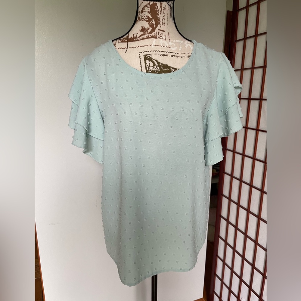 Shein Swiss Dot Butterfly Sleeve Blouse, Size L